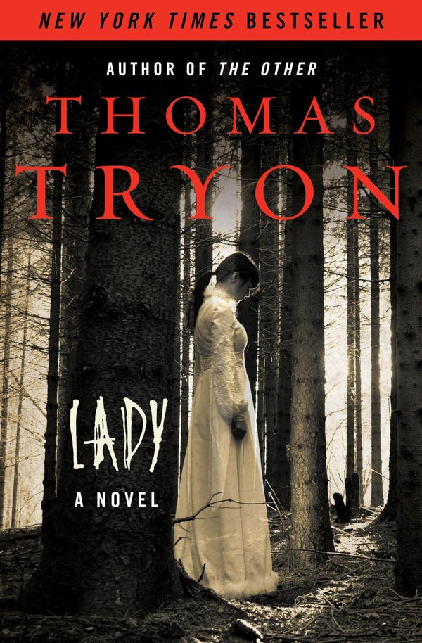Lady Book Cover