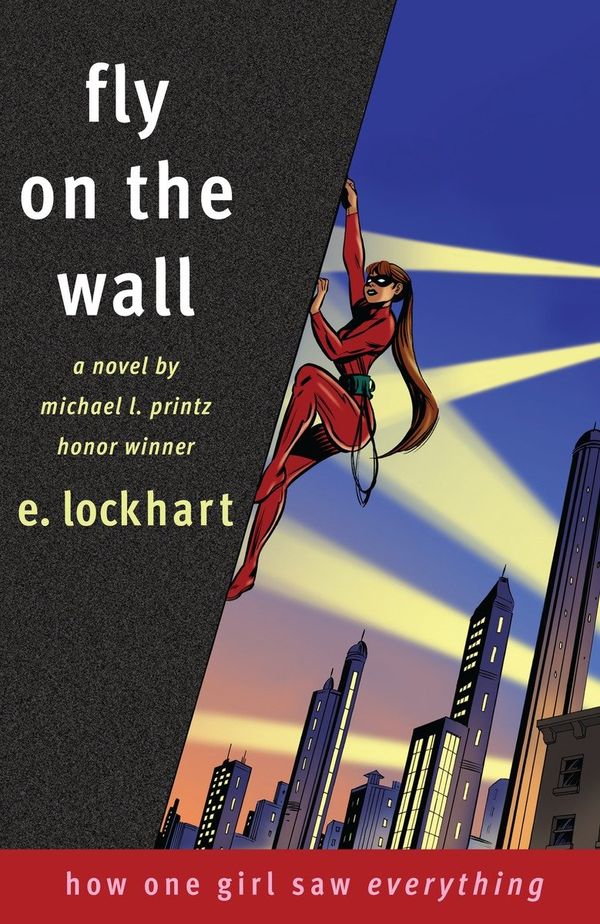Fly on the Wall Book Cover