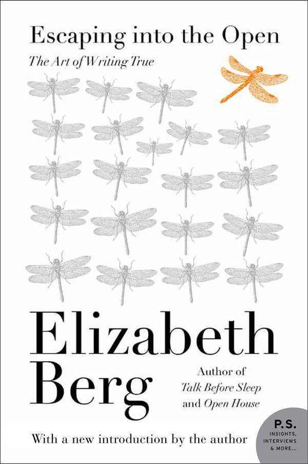 Escaping Into the Open Book Cover
