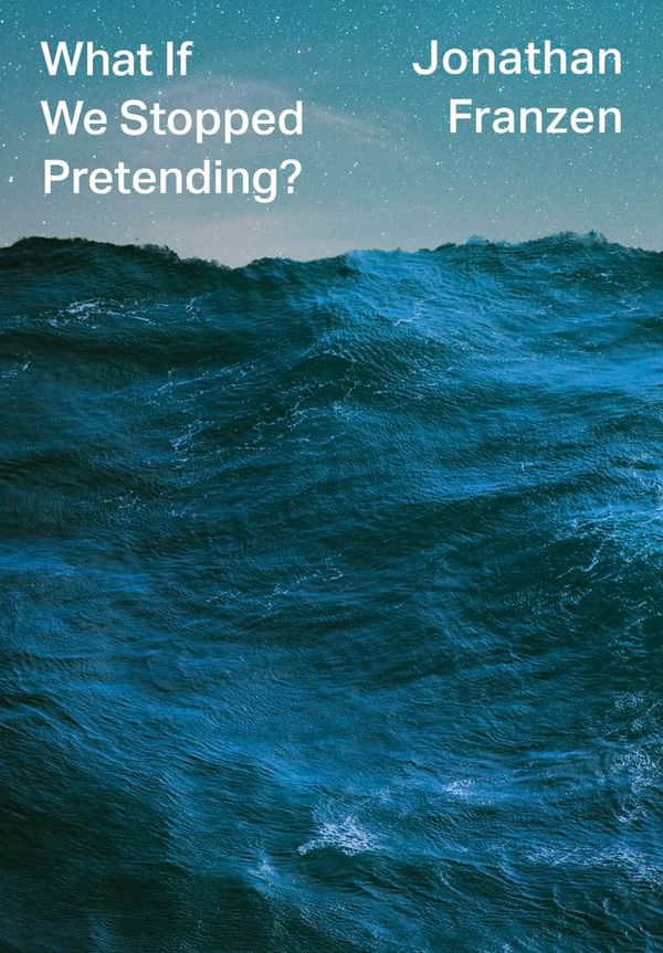 What If We Stopped Pretending? Book Cover