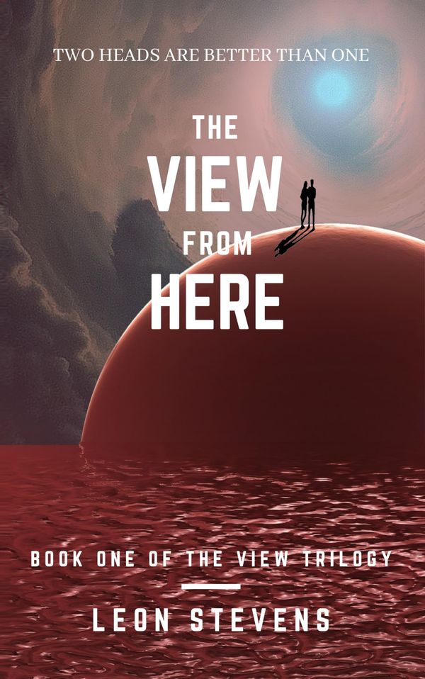 The View from Here cover