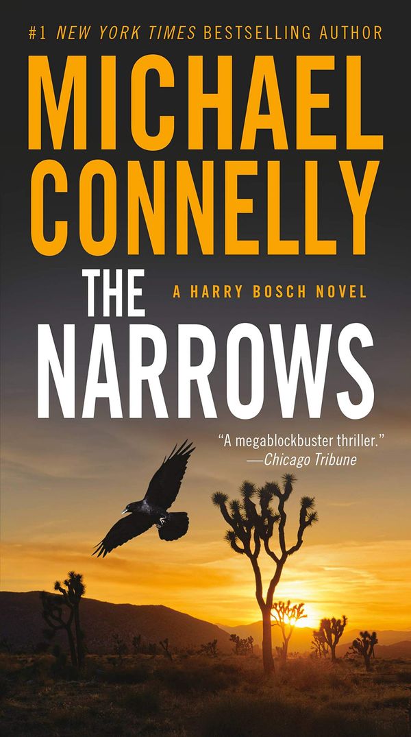 The Narrows Book Cover