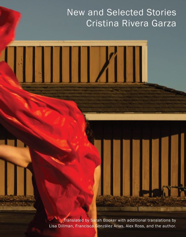 New and Selected Stories Book Cover
