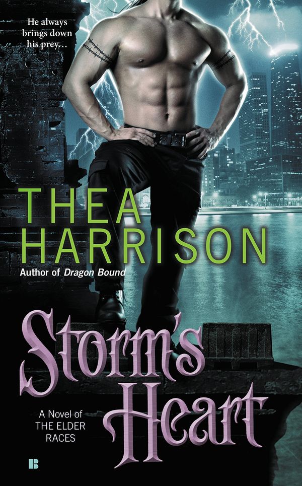 Storm's Heart Book Cover