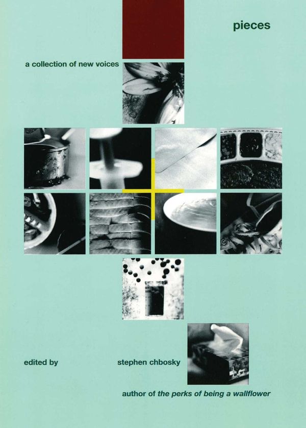 Pieces Book Cover