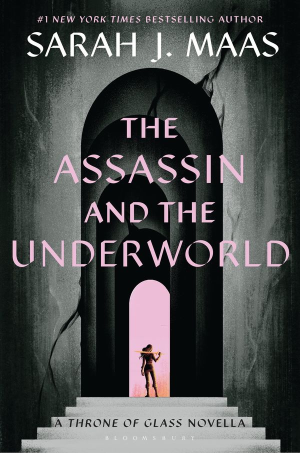 The Assassin and the Underworld Book Cover