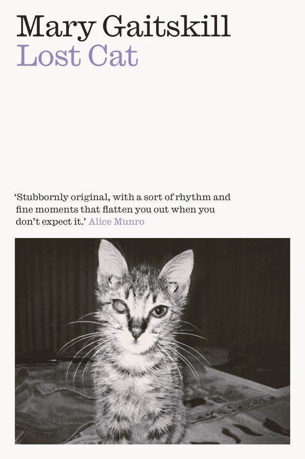 Lost Cat Book Cover