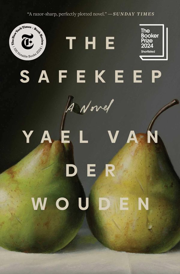 The Safekeep Book Cover