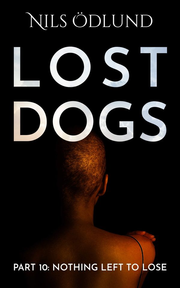 Nothing Left to Lose Book Cover