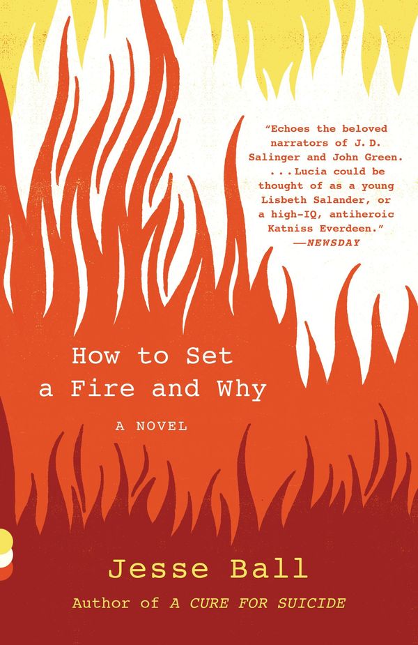How to Set a Fire and Why Book Cover