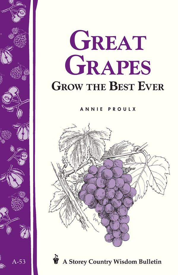 Great Grapes Book Cover