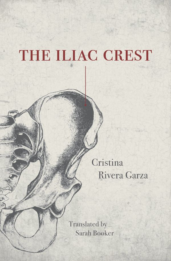The Iliac Crest Book Cover
