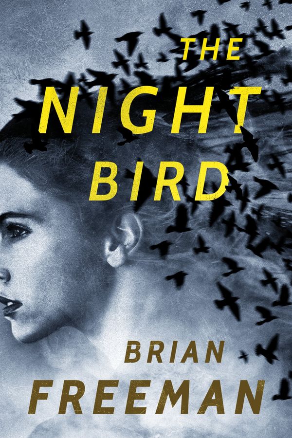 The Night Bird cover
