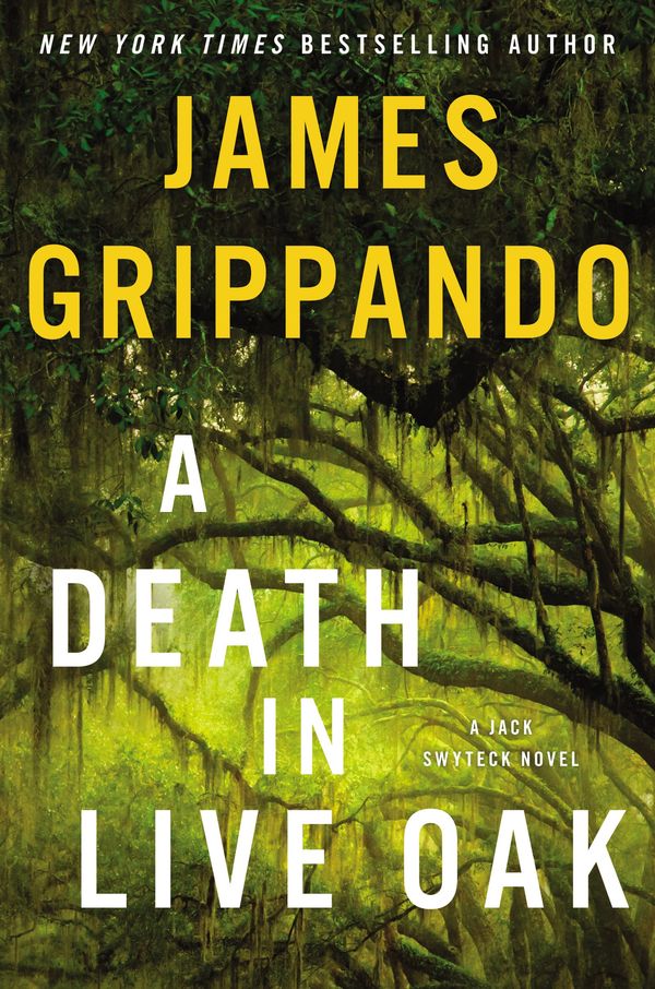 A Death in Live Oak Book Cover