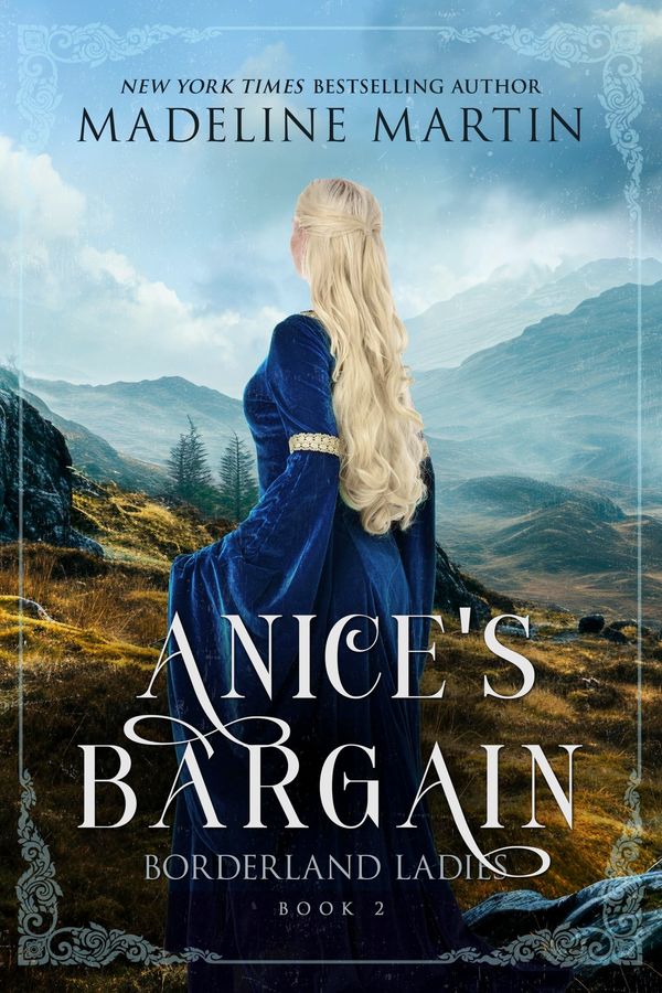 Anice's Bargain Book Cover