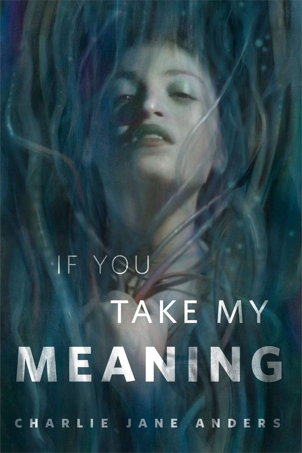 If You Take My Meaning Book Cover