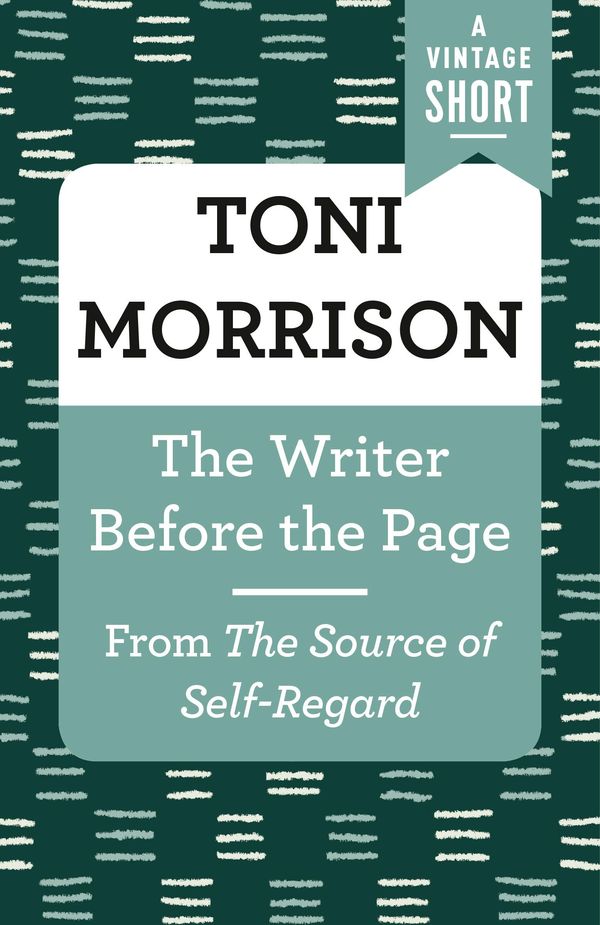 The Writer Before the Page: From The Source of Self-Regard Book Cover