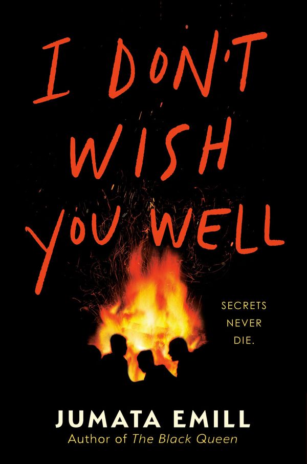 I Don't Wish You Well Book Cover