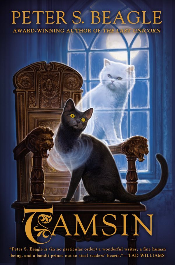 Tamsin Book Cover