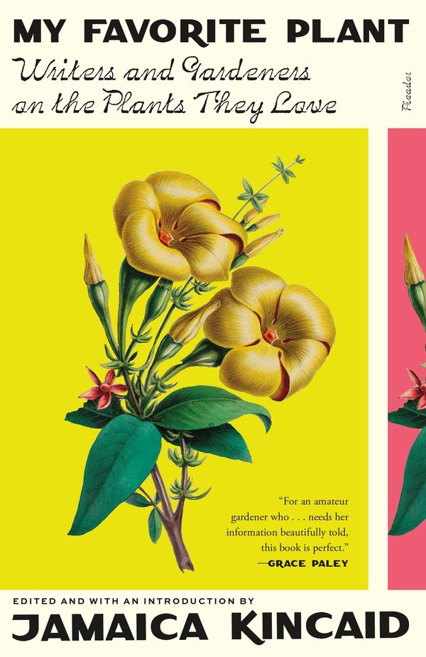 My Favorite Plant Book Cover