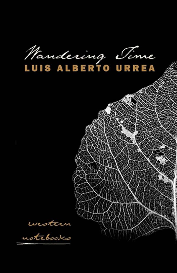 Wandering Time Book Cover