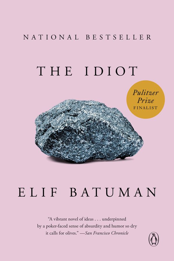 The Idiot Book Cover