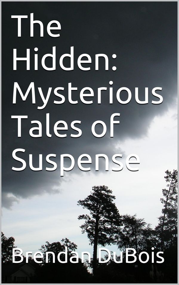The Hidden: Mysterious Tales of Suspense Book Cover
