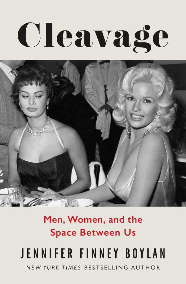 Cleavage: Men, Women, and the Space Between Us Book Cover