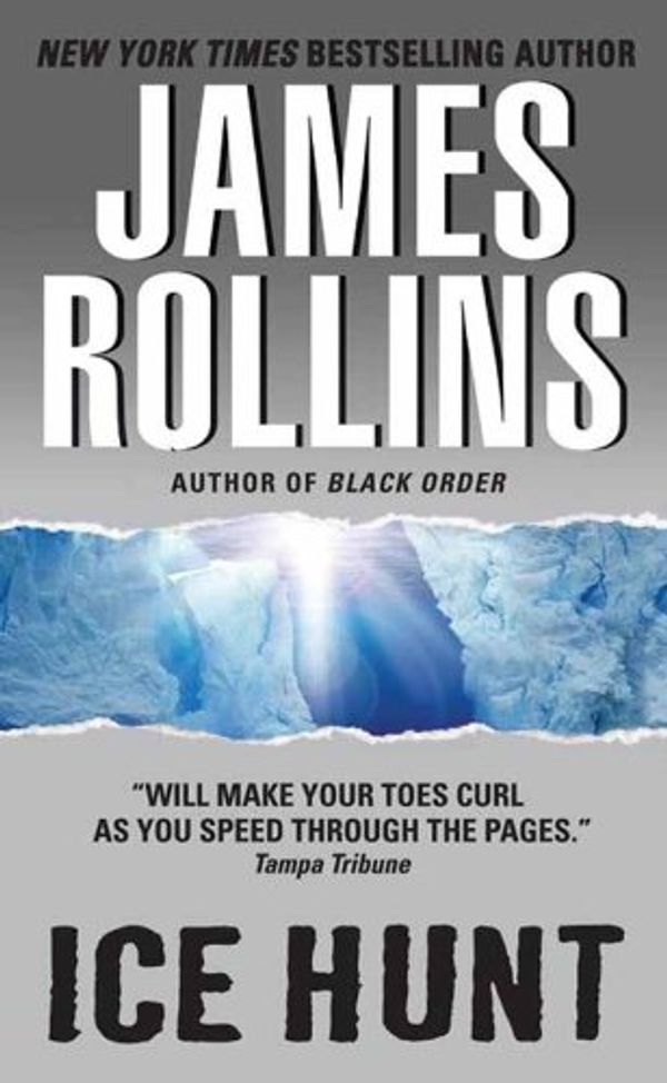 Ice Hunt Book Cover