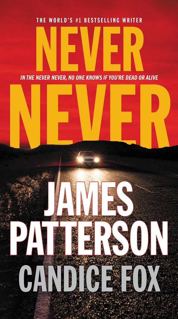 Never Never Book Cover