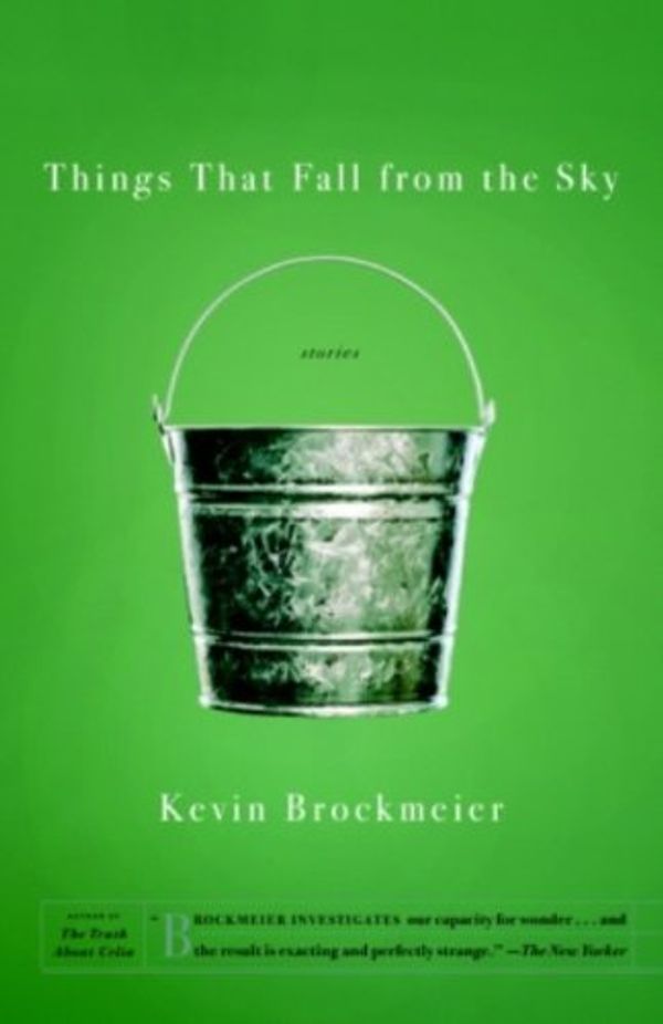 Things that Fall from the Sky Book Cover