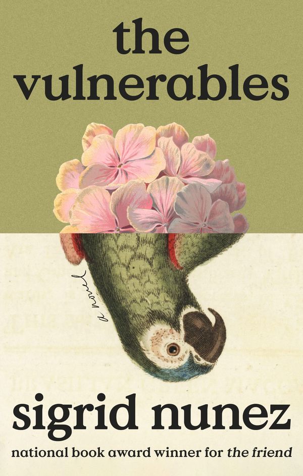The Vulnerables Book Cover