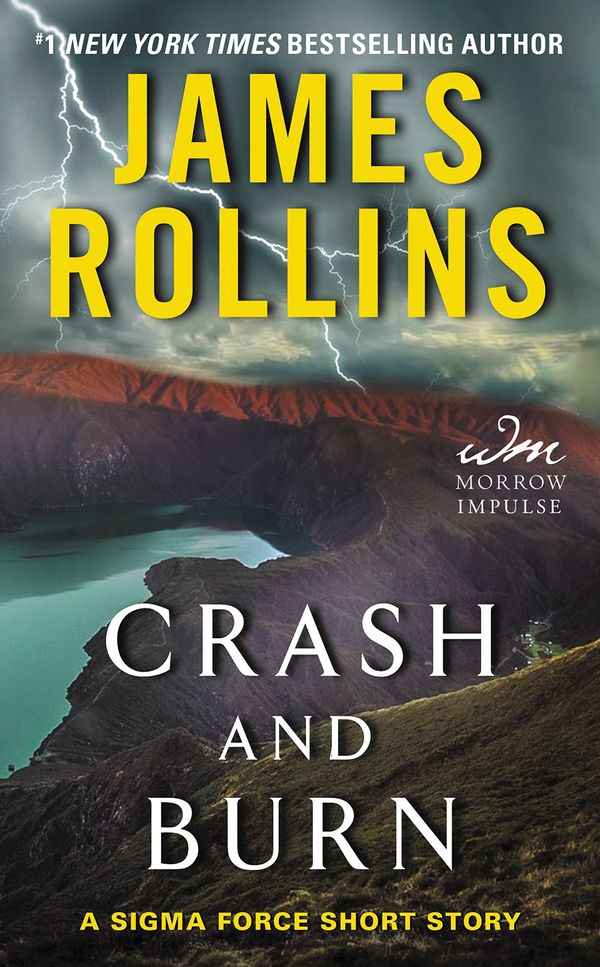 Crash and Burn Book Cover