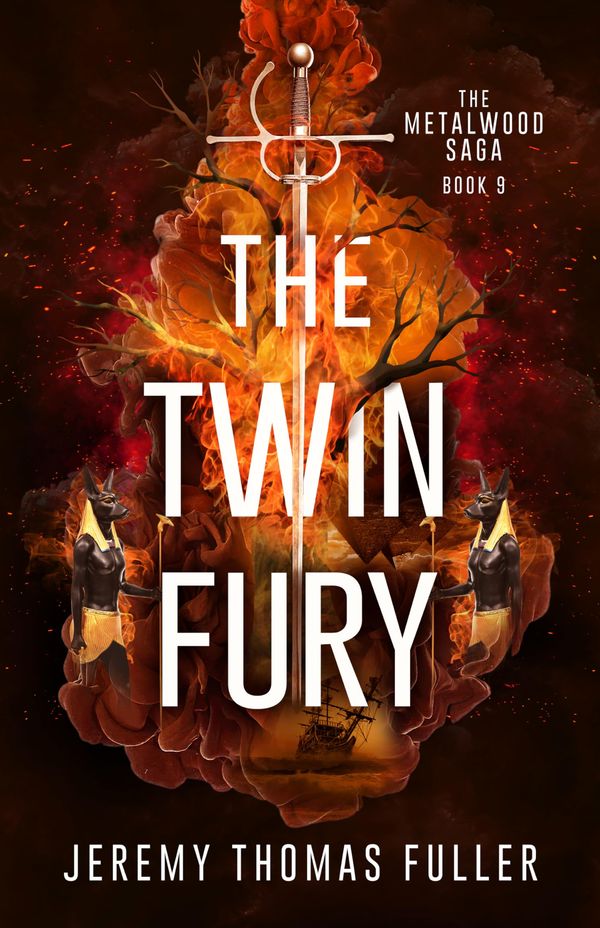 The Twin Fury Book Cover