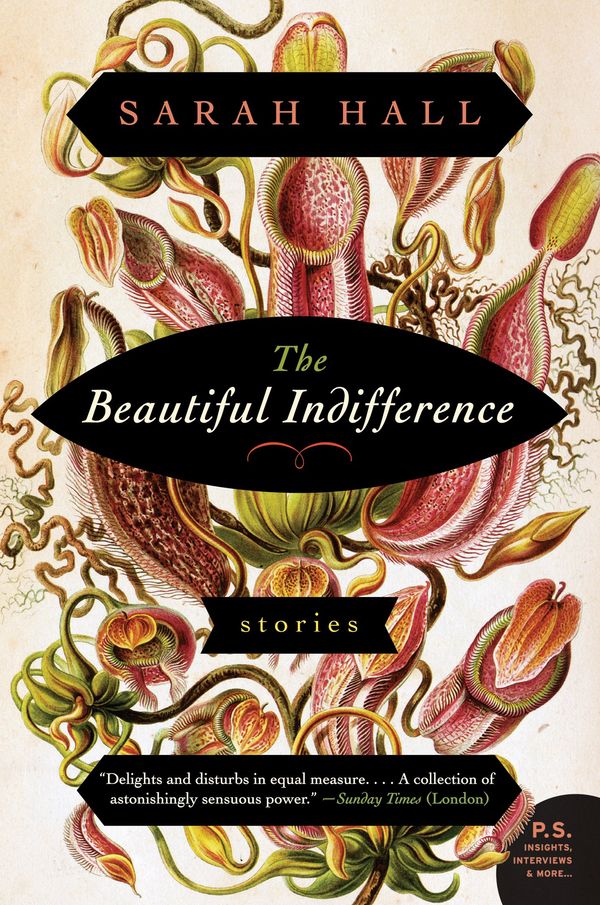 The Beautiful Indifference Book Cover
