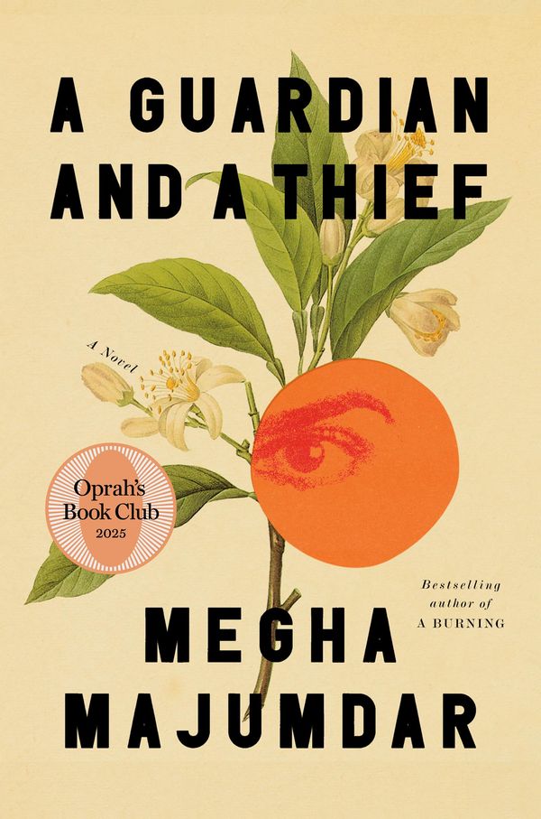 A Guardian and a Thief Book Cover