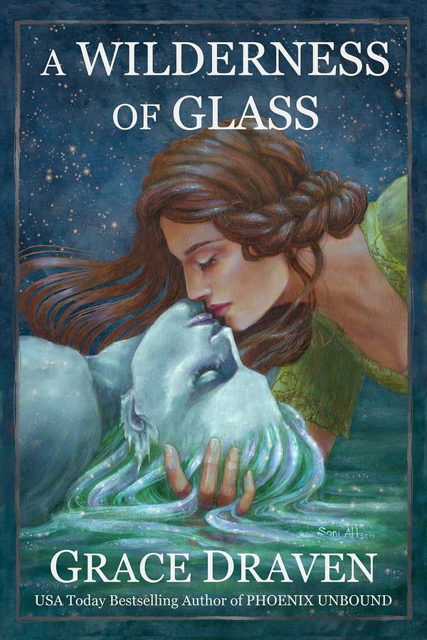 A Wilderness of Glass Book Cover