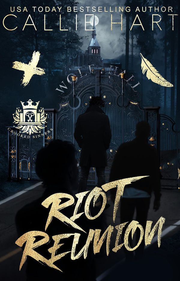 Riot Reunion Book Cover