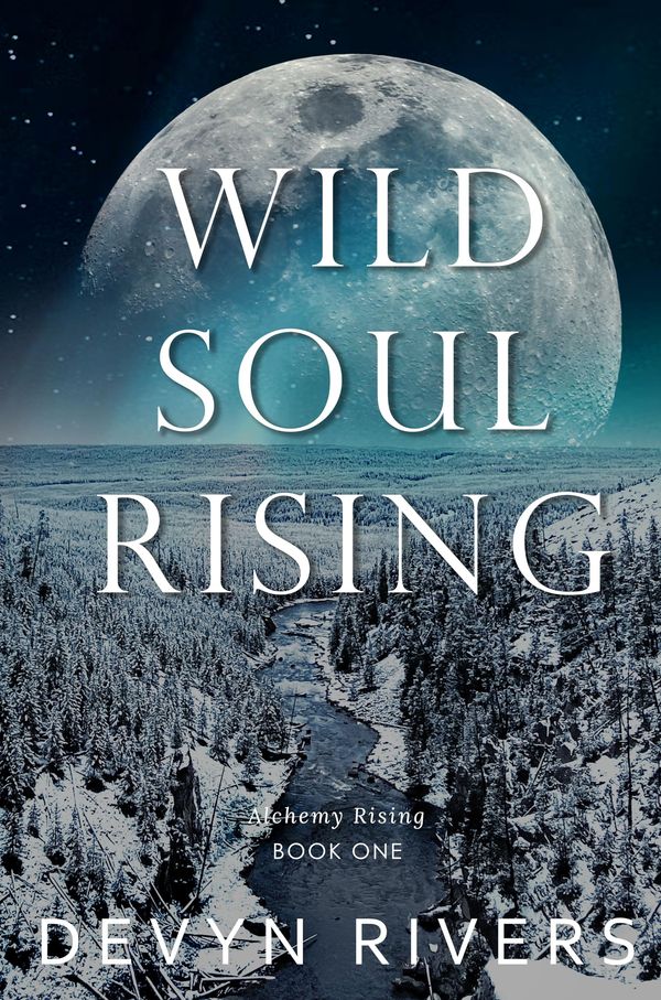 Wild Soul Rising Book Cover