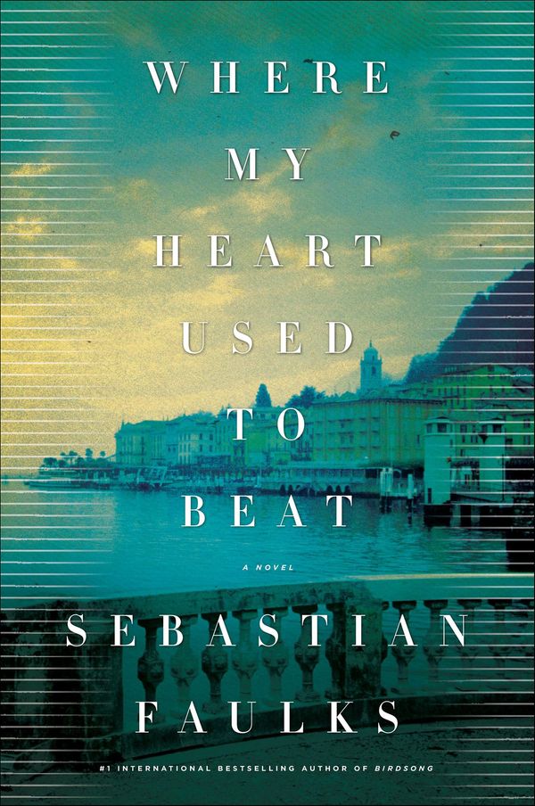 Where My Heart Used to Beat Book Cover