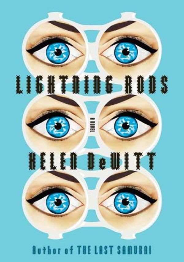 Lightning Rods Book Cover