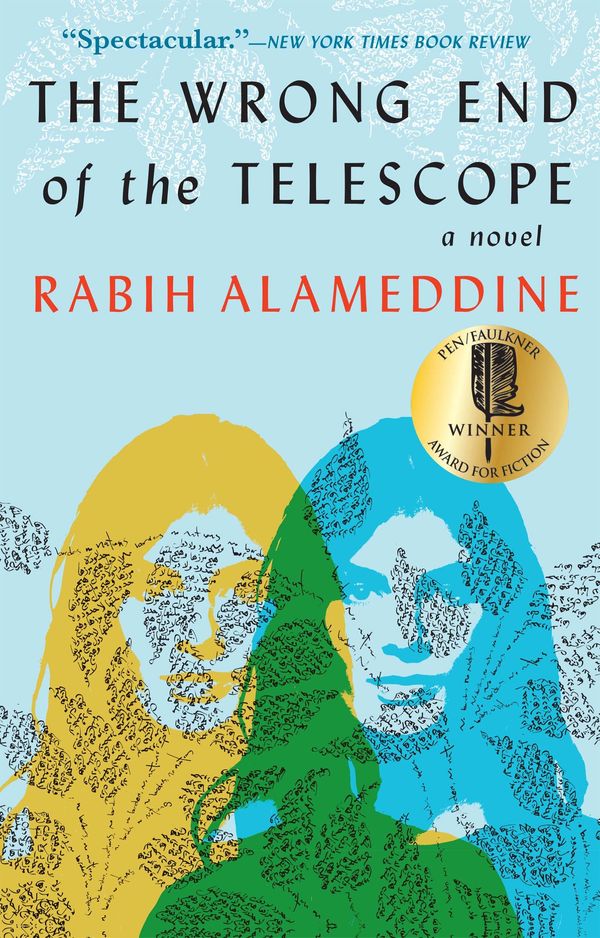 The Wrong End of the Telescope Book Cover