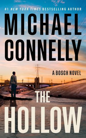 Recent book by Michael Connelly