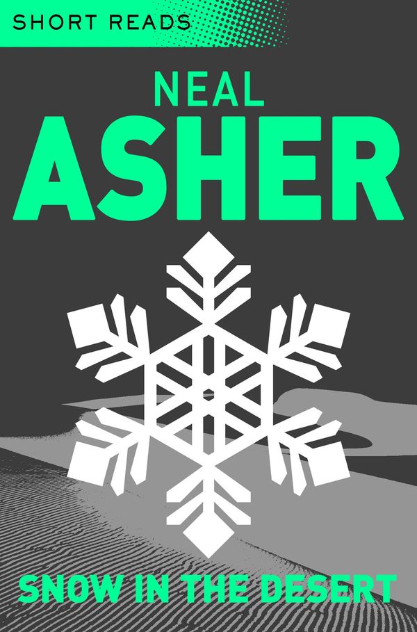 Snow in the Desert Book Cover