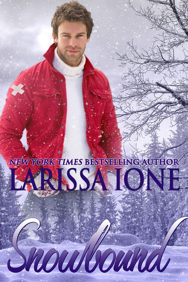 Snowbound Book Cover
