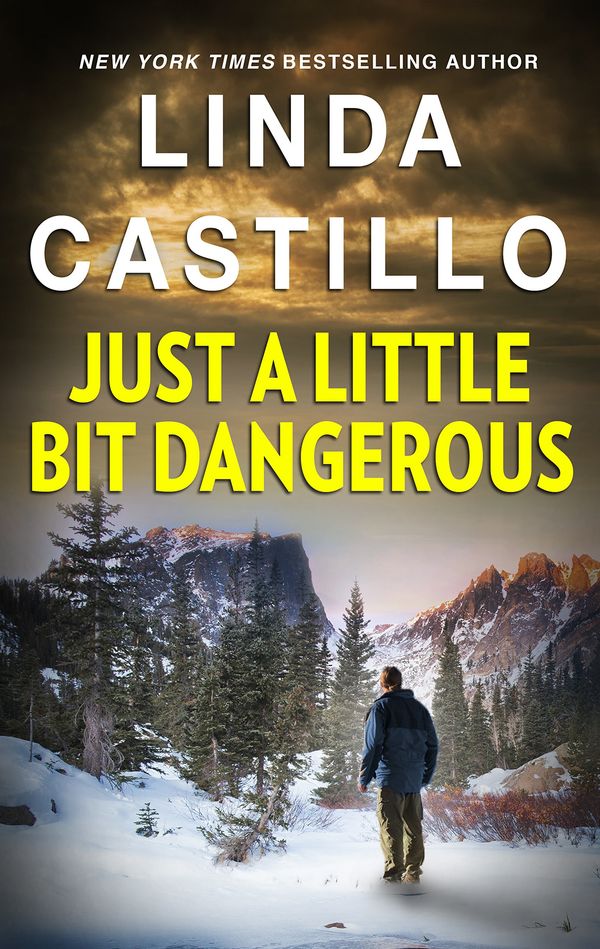 Just a Little Bit Dangerous Book Cover