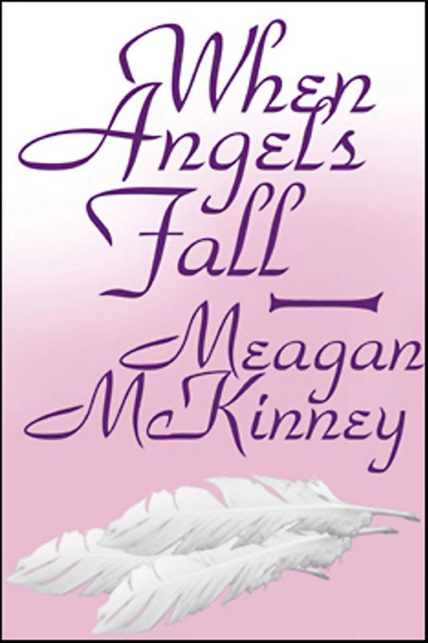 When Angels Fall Book Cover