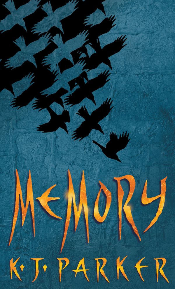 Memory cover
