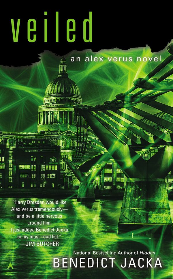 Veiled Book Cover