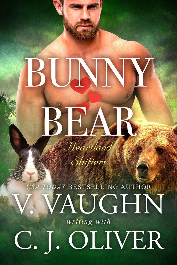 Bunny Hearts Bear cover